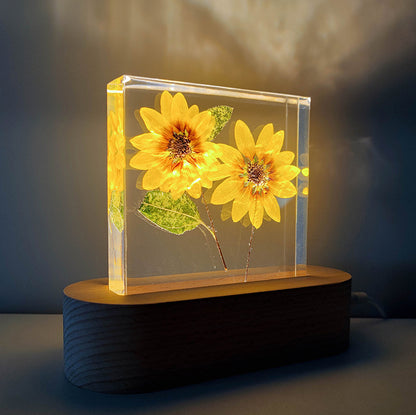 Preserved Flower Decorative Resin Plant Specimen Small Night Lamp