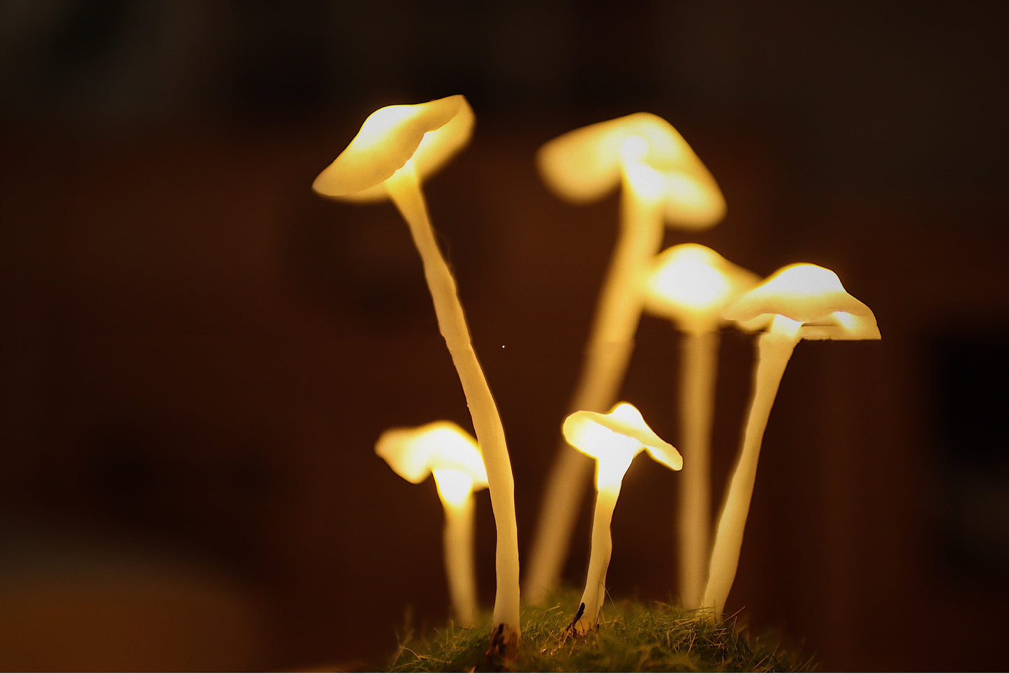 Original Cute Retro Mushroom Night Light Diy Material Package Decoration Birthday Gift