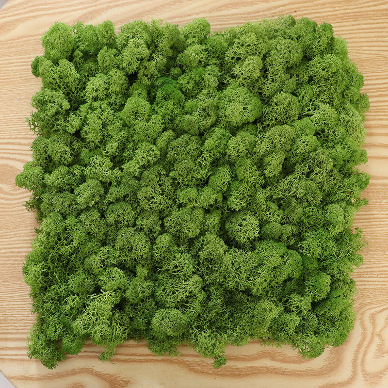 Mossy Wall For Home And Office Decoration