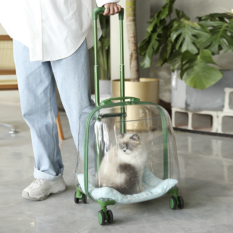 Large Capacity Cat Bag And Pet Bag In Spring And Summer