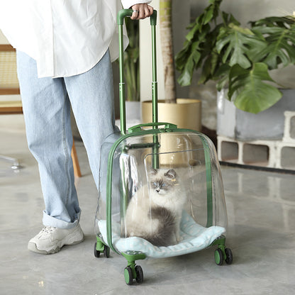 Sac pour chat de grande capacité et sac pour animaux de compagnie au printemps et en été