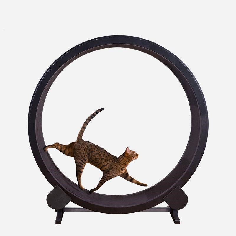 Tapis roulant pour chat, roue de course, cadre d'escalade silencieux