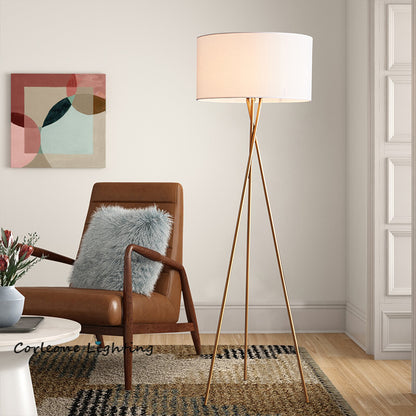 Nordic Creative Desk Lamp Is Modern Simple Personalized And Fashionable