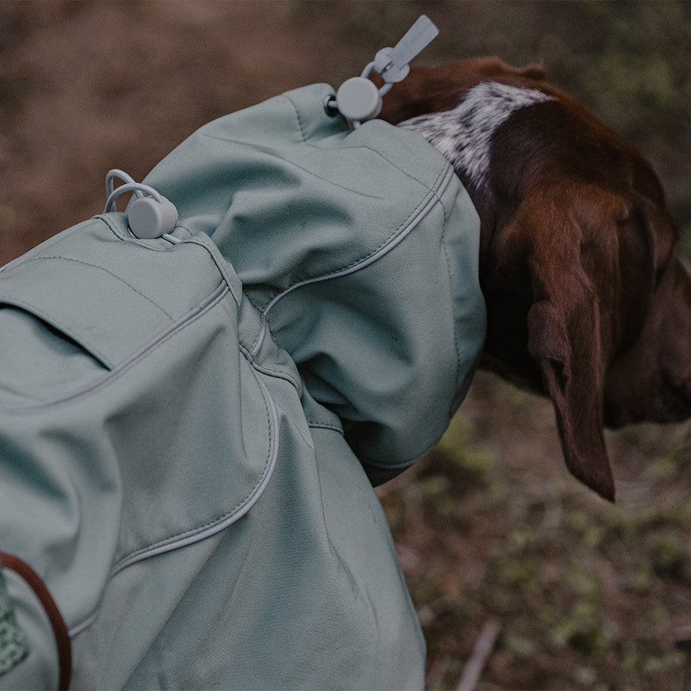 Veste d'extérieur à coque souple, imperméable, coupe-vent, chaude, pour chien