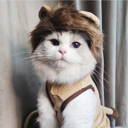 Vêtements pour chien et lion Fournitures pour animaux de compagnie Vêtements pour chat d'Halloween