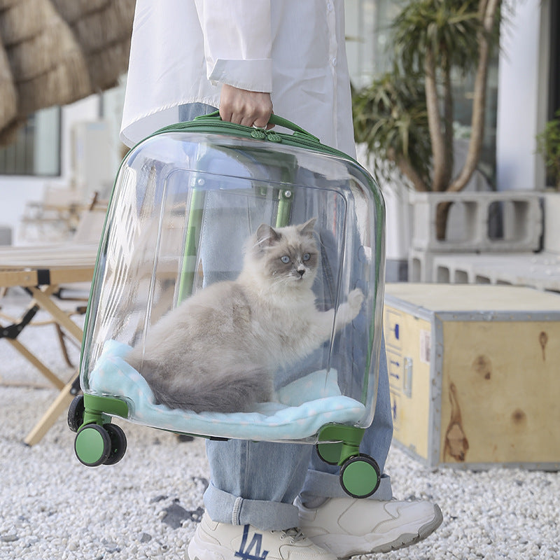 Large Capacity Cat Bag And Pet Bag In Spring And Summer