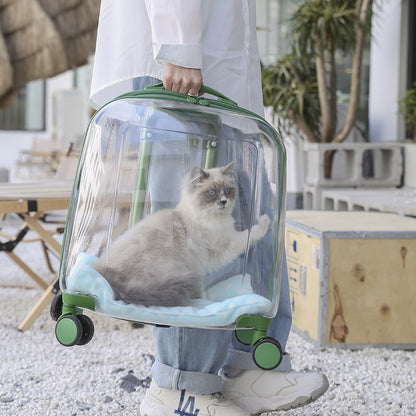 Sac pour chat de grande capacité et sac pour animaux de compagnie au printemps et en été