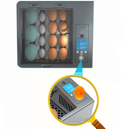 Inicio Caja de incubación inteligente completamente automática