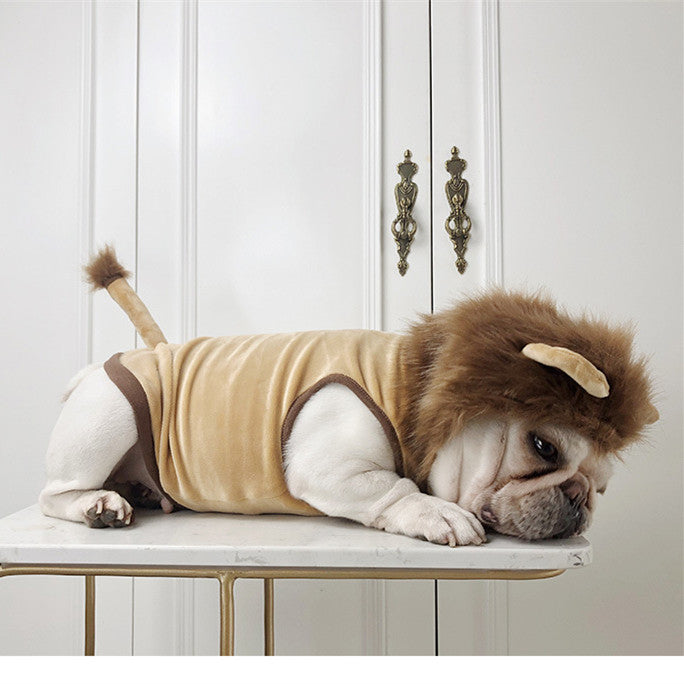 Ropa para perros y leones Suministros para mascotas Ropa para gatos de Halloween