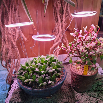 Luz LED de cultivo de espectro completo, anillo de Ángel, lámpara de cultivo Phytolamp USB para plantas, lámpara de 5V, plántulas de plantas de invernadero de flores de interior