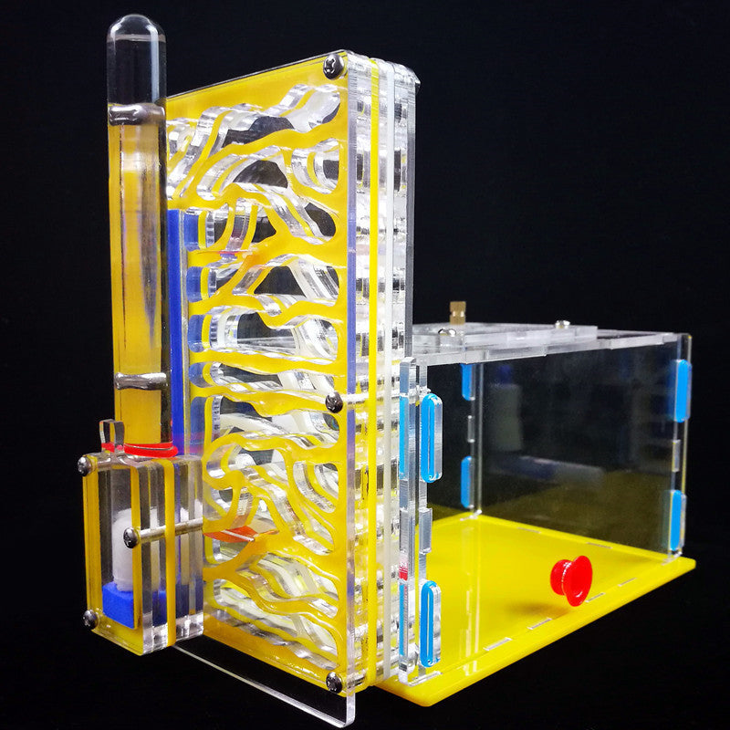 Nido de taller de hormigas, nido acrílico, caja ecológica para el hogar, juguetes educativos científicos