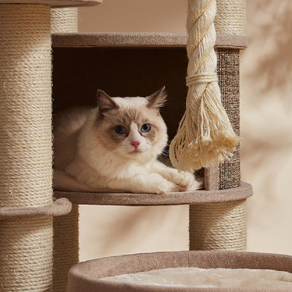 Juguetes de plataforma de salto para gatos de lujo