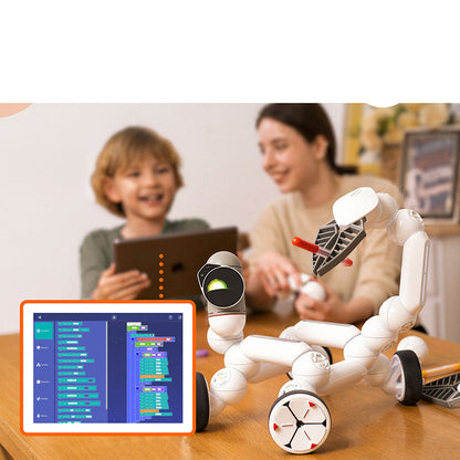 Intelligent Robot Programming Toy Suit