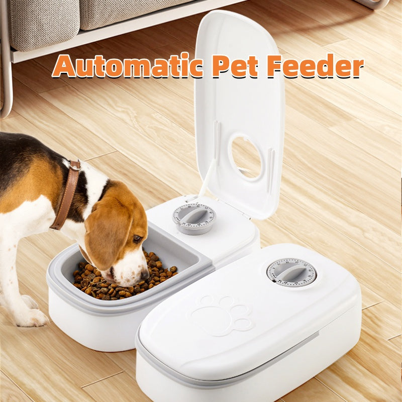 Alimentador automático para mascotas, dispensador de comida inteligente para gatos y perros, temporizador, cuenco de acero inoxidable, Alimentación automática para perros y gatos, suministros para mascotas