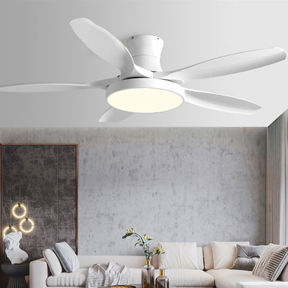 Domestic High Wind Low Floor Suction Fan Light