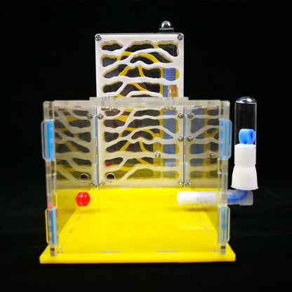 Nido de taller de hormigas, nido acrílico, caja ecológica para el hogar, juguetes educativos científicos