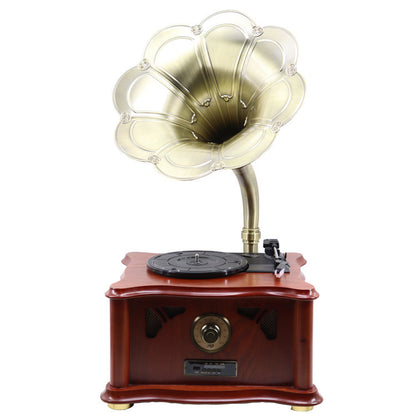 Living Room Vinyl Record Player