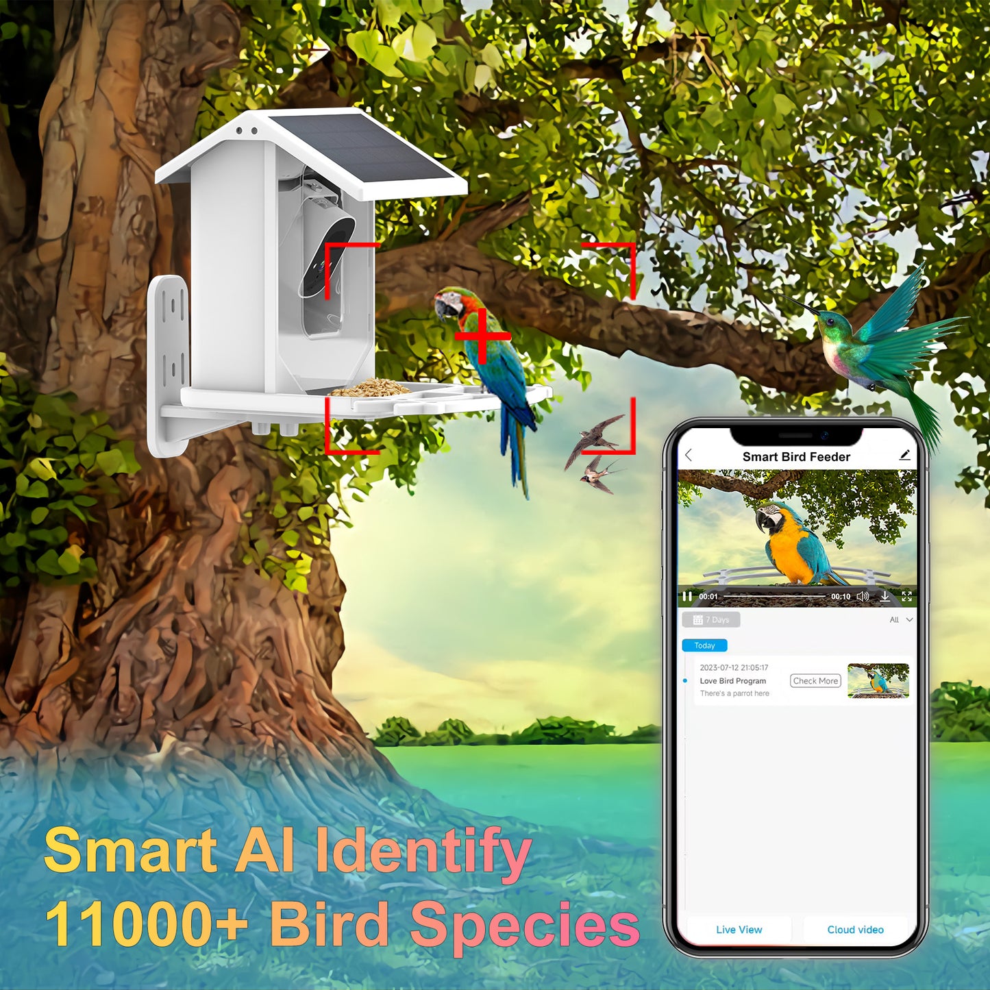 Low Power Consumption Solar Smart Feeder Camera