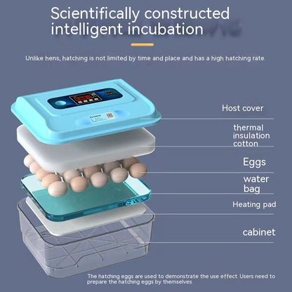 Incubateur bionique à lit d'eau, incubateur domestique pour poulet rutine