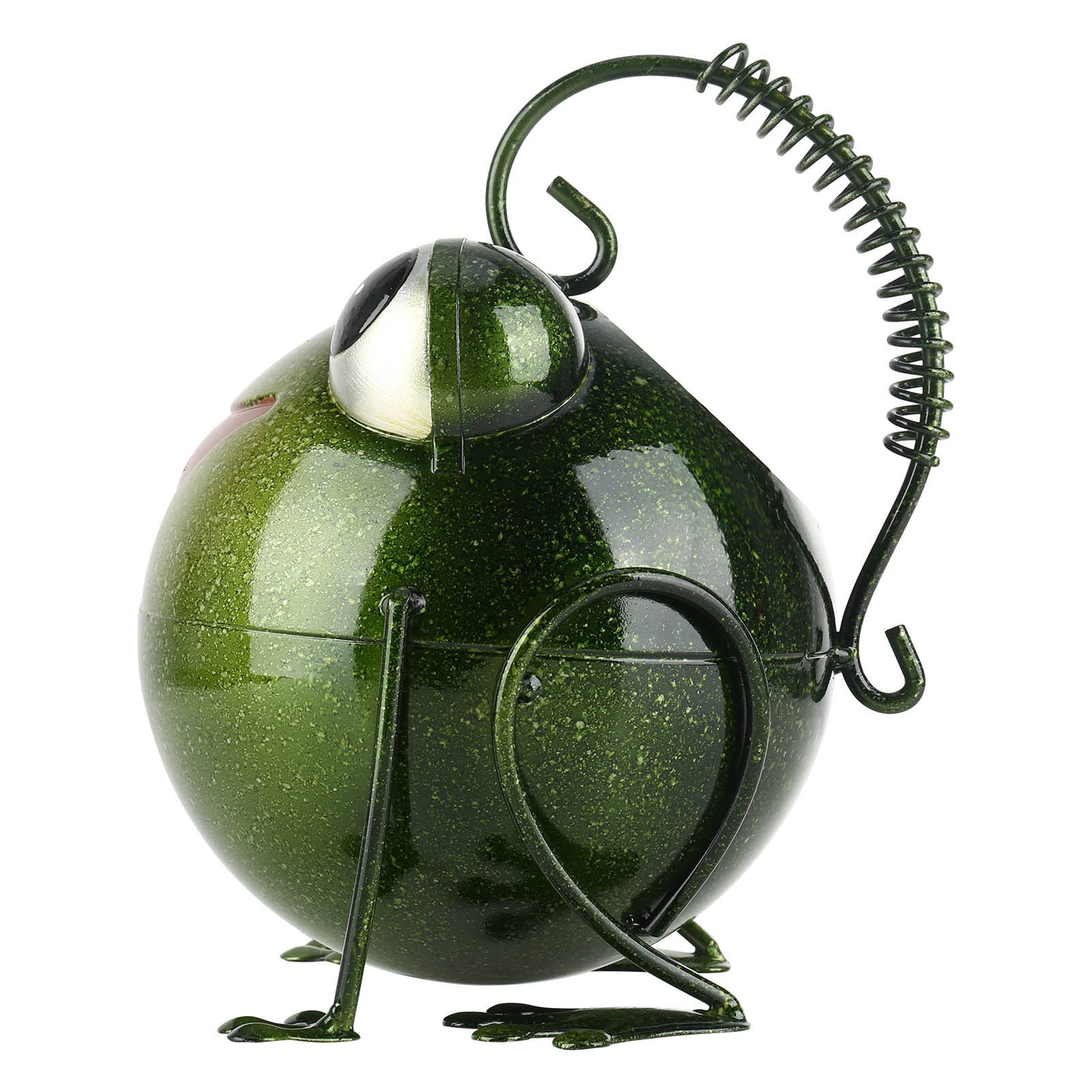 Creative Cartoon Iron Frog Watering Pot Creative Home Decoration