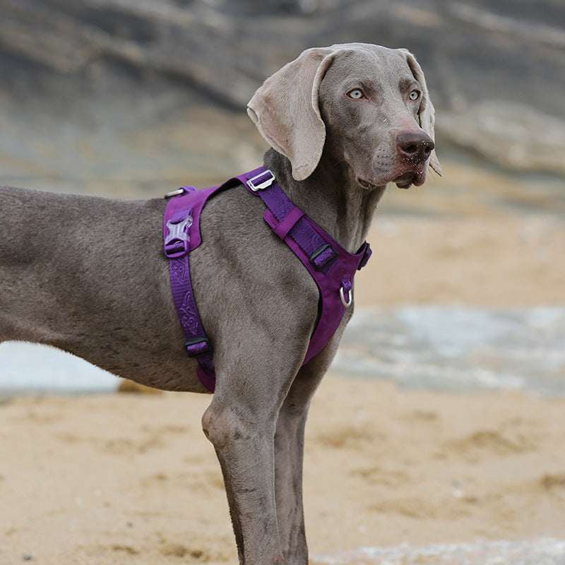 Sangle de poitrine en corde de Traction pour grand chien qui marche pour animaux de compagnie