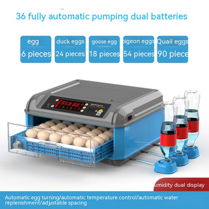 Incubadora doméstica automática de rutina para pollos, incubación de pollos