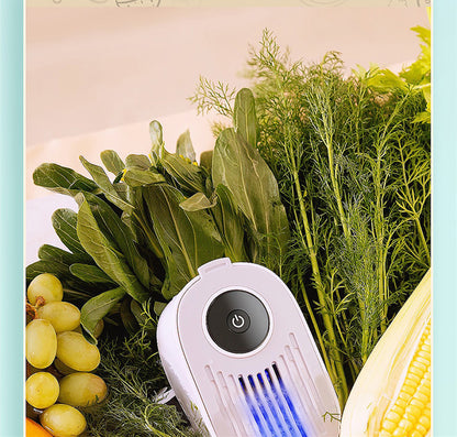 Wireless Fruit And Vegetable Washing Machine To Remove Agricultural Residues