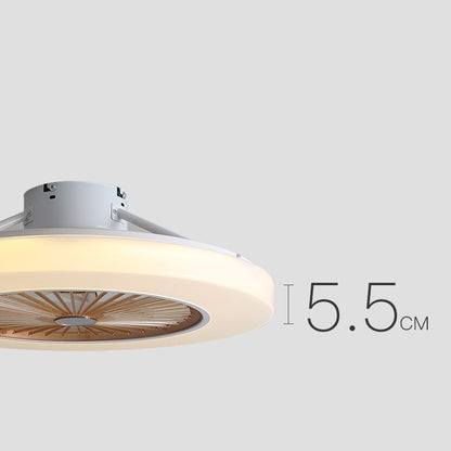 Simple Modern Household Fan Ceiling Lamp